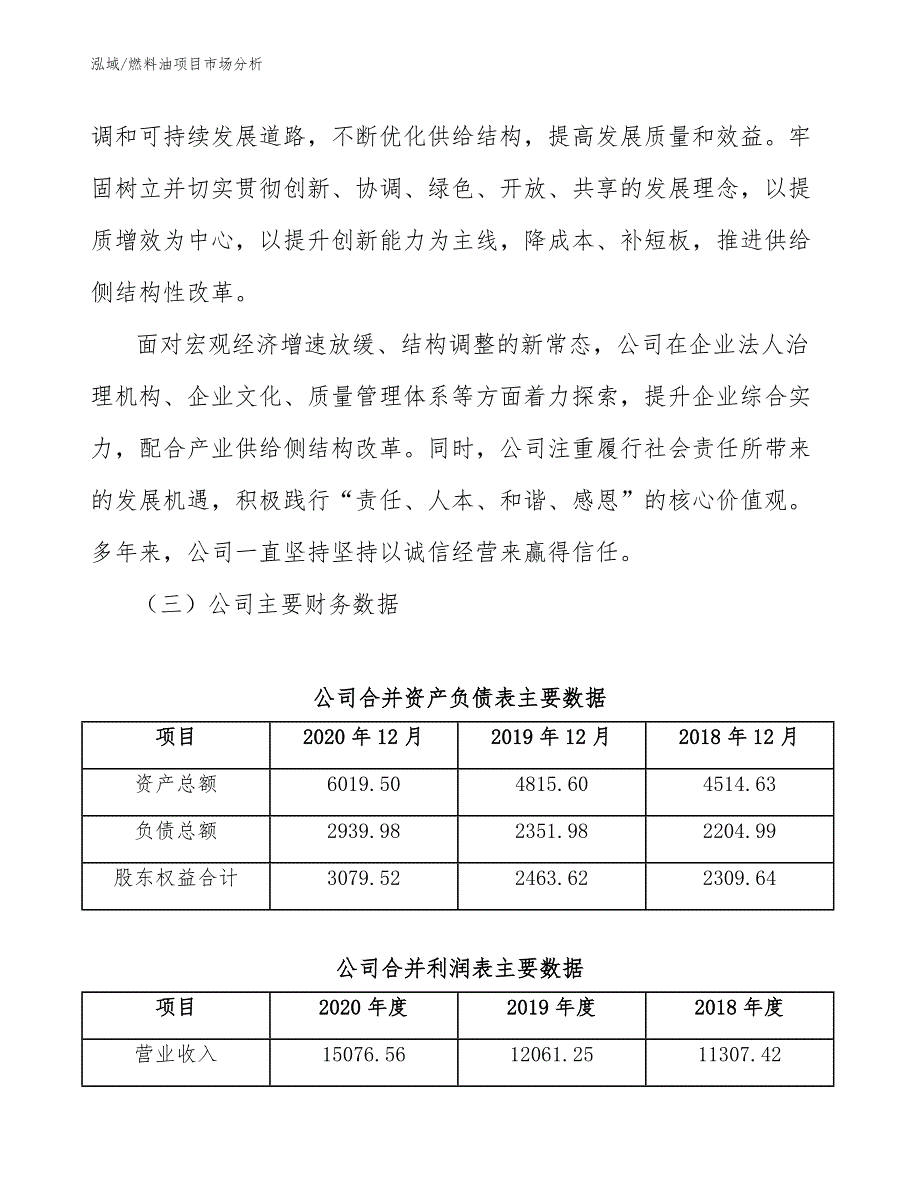 燃料油项目市场分析_参考_第3页