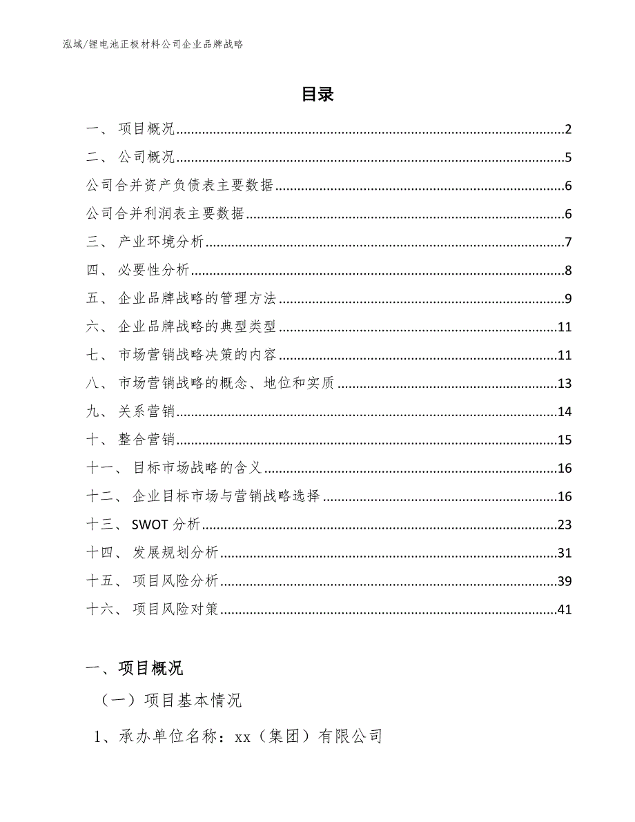 锂电池正极材料公司企业品牌战略（参考）_第2页