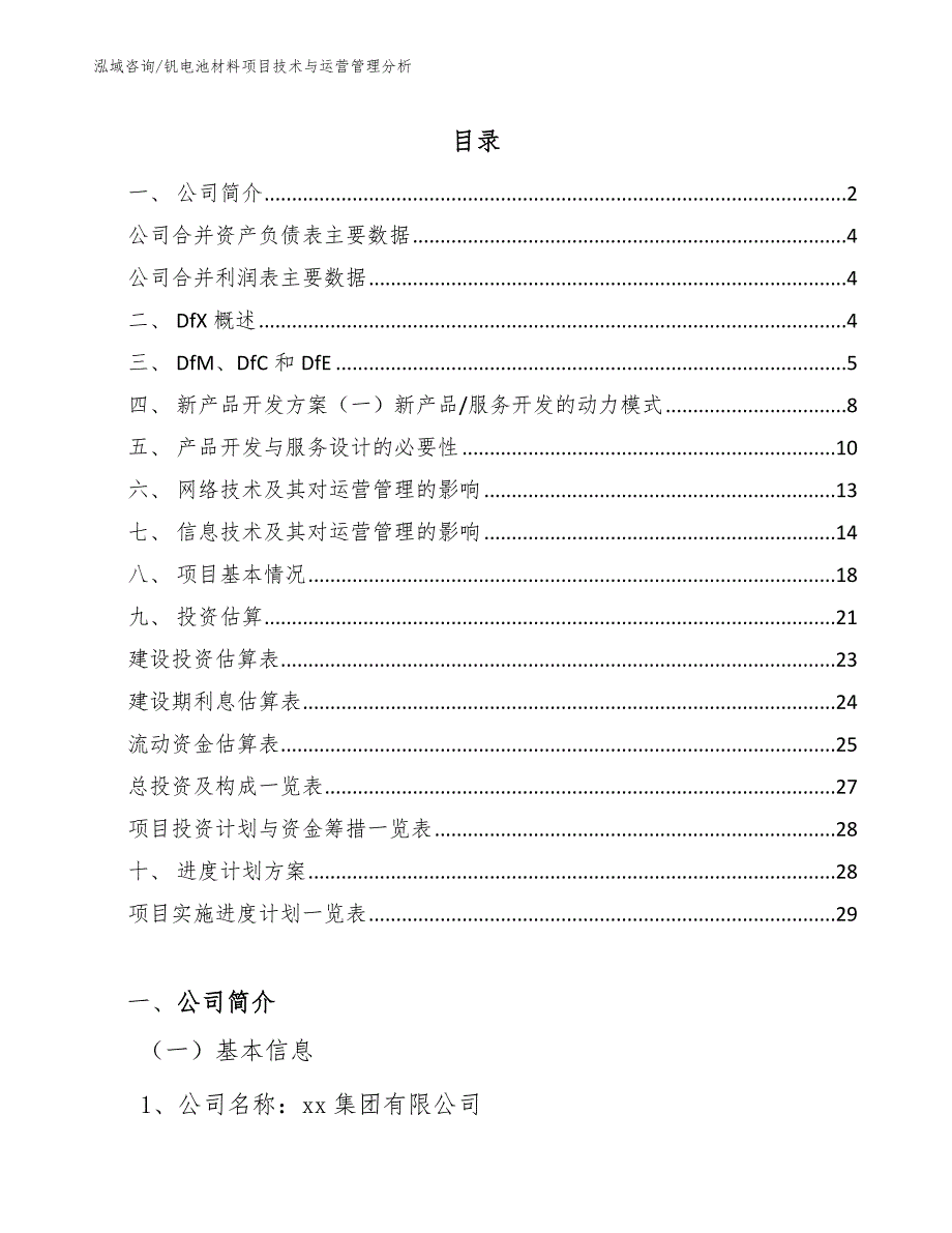 钒电池材料项目技术与运营管理分析（范文）_第2页