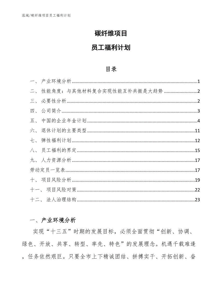 碳纤维项目员工福利计划（参考）_第1页