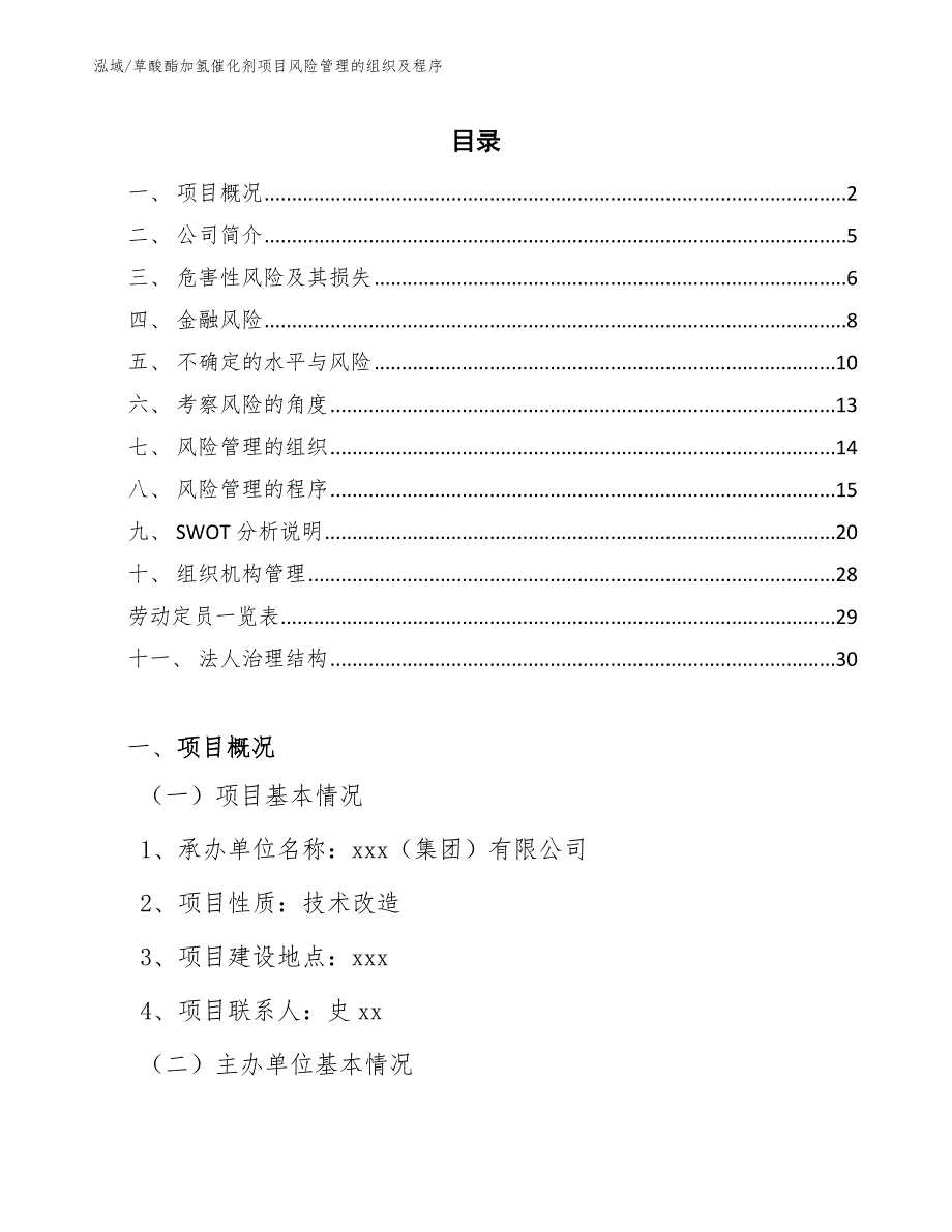 草酸酯加氢催化剂项目风险管理的组织及程序（范文）_第2页