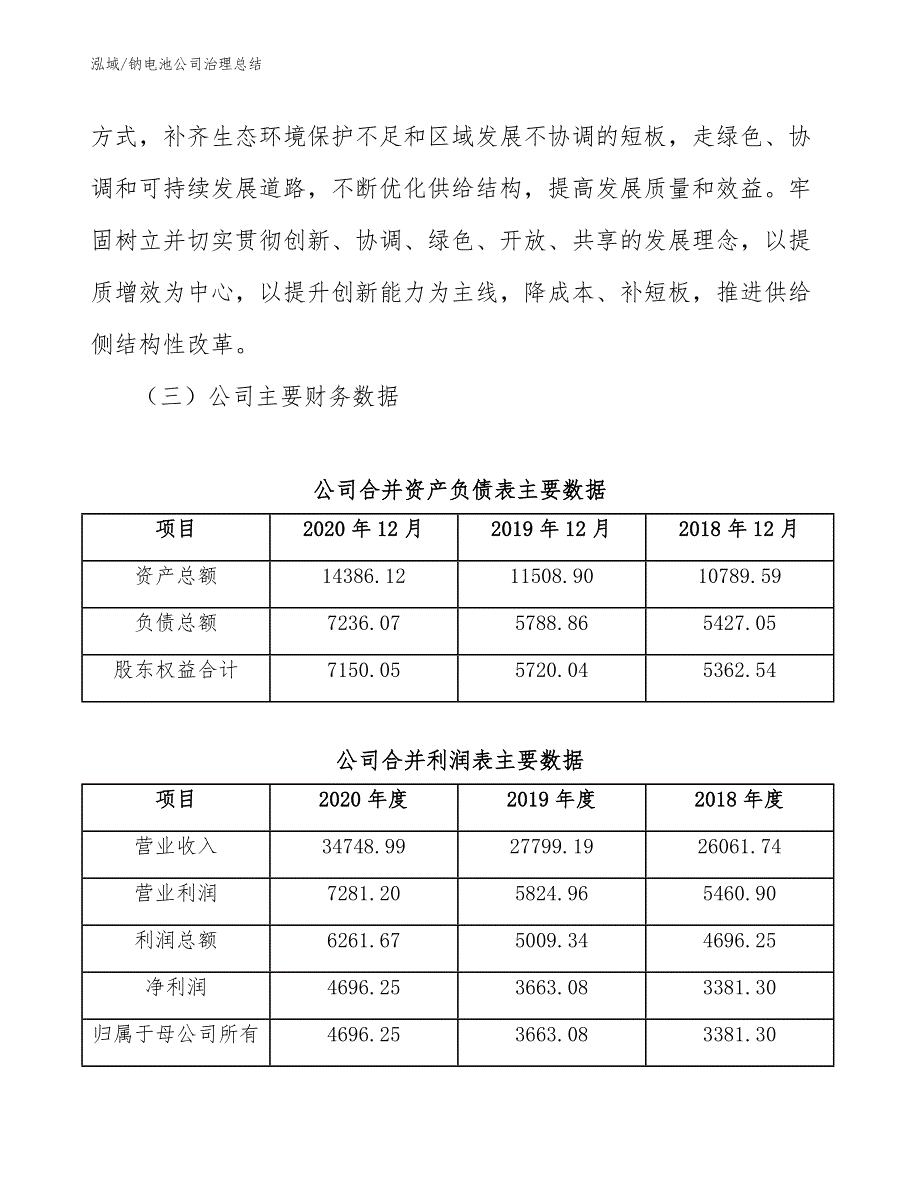 钠电池公司治理总结（参考）_第4页