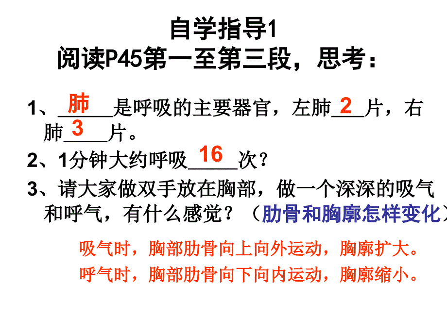 第二节发生在肺内的气体交换_第4页