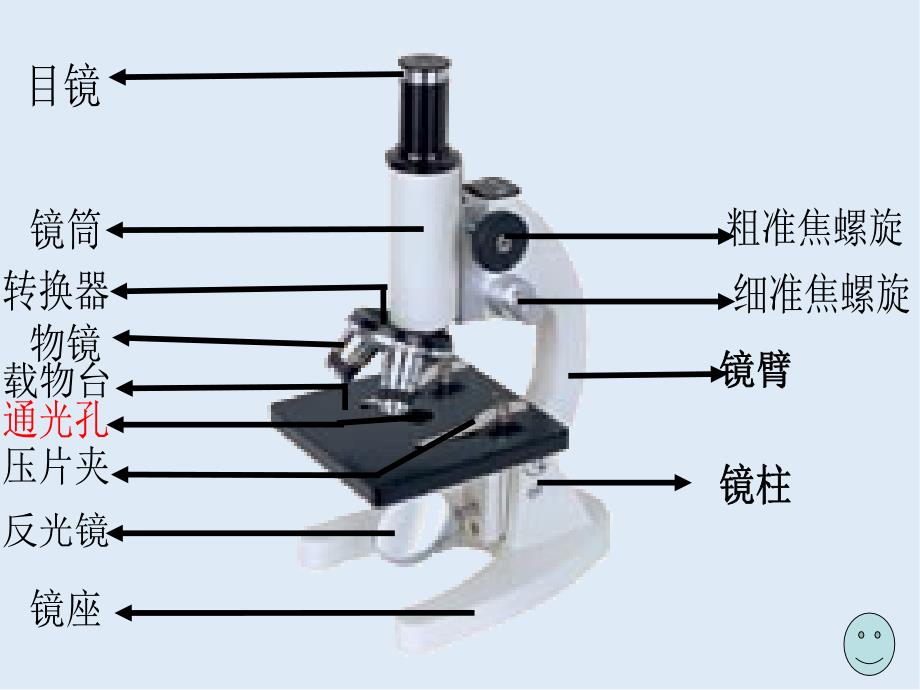 广东省惠州市江南学校人教版高中生物必修一课件：1.2细胞的多样性和统一性 共42张PPT_第4页