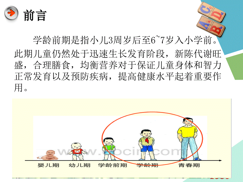 学龄前儿童营养与健康.ppt_第3页