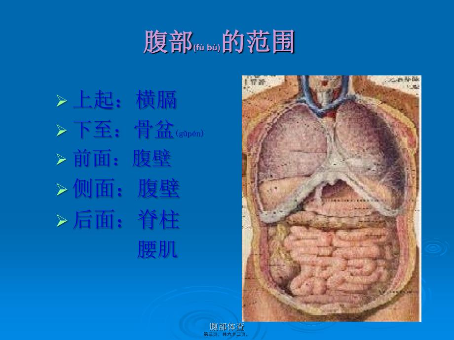 腹部体查课件_第3页