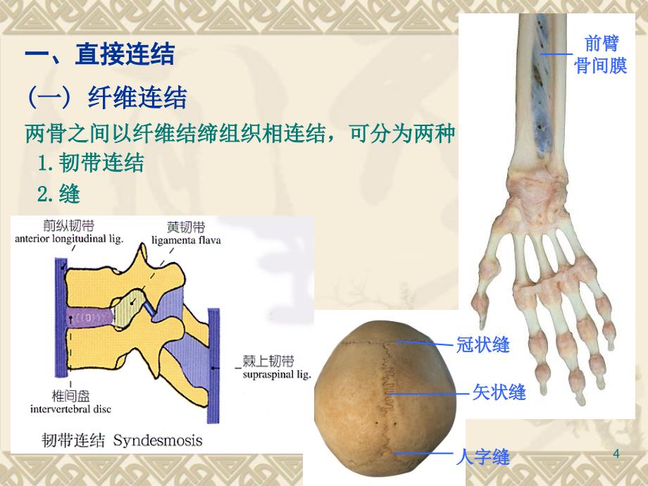 关节学概述课件_第4页