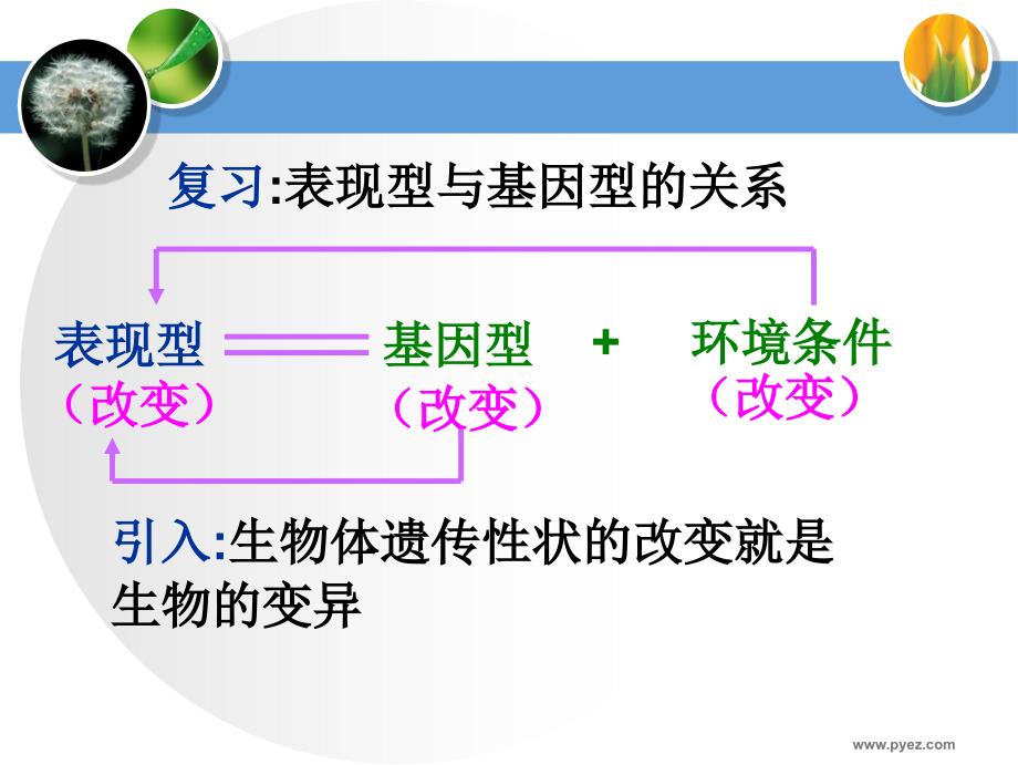 [高二理化生]《基因突变和基因重组_第2页