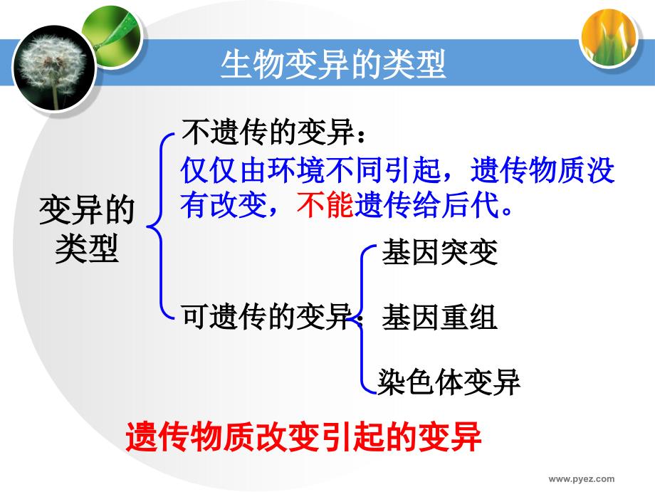 [高二理化生]《基因突变和基因重组_第3页