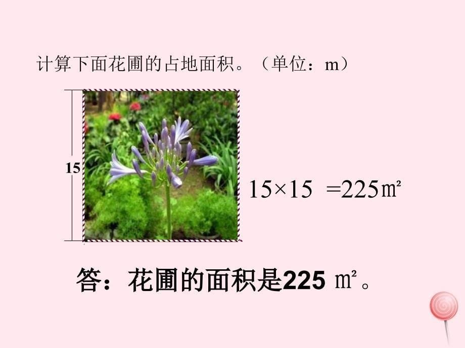 三年级数学下册1.5面积计算课件5沪教版_第5页