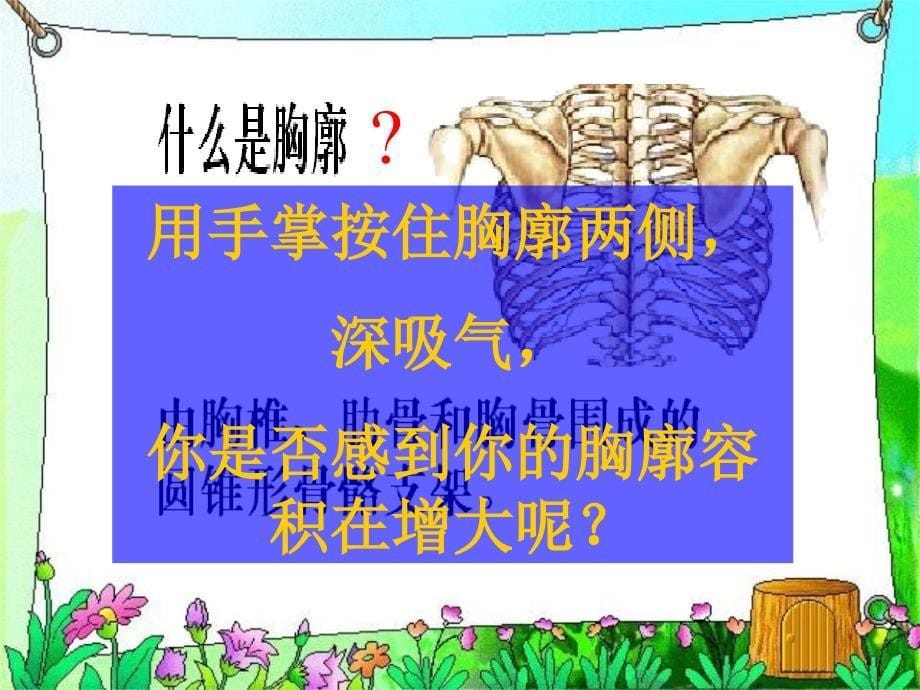 发生在肺内体交换讲授式_第5页