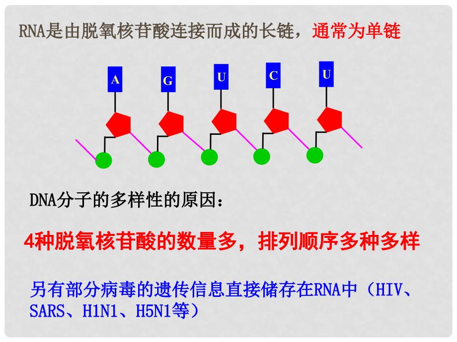 湖南省长沙市高中生物 2.4 细胞中的糖类和脂质课件（2）新人教版必修1_第2页