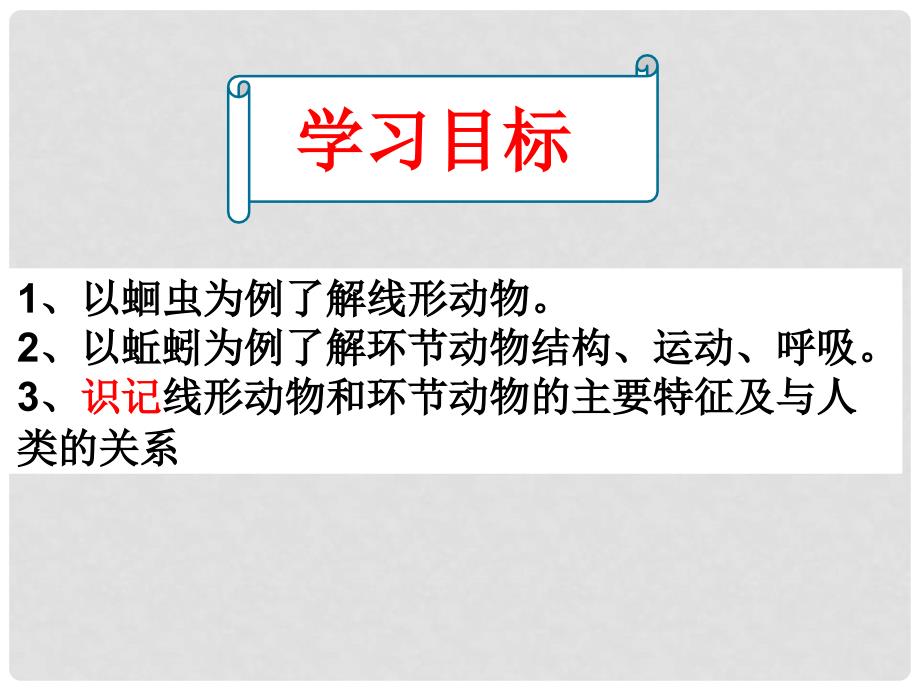 陕西省石泉县池河中学八年级生物上册 5.1.2 线形动物和环节动物课件 （新版）新人教版_第2页