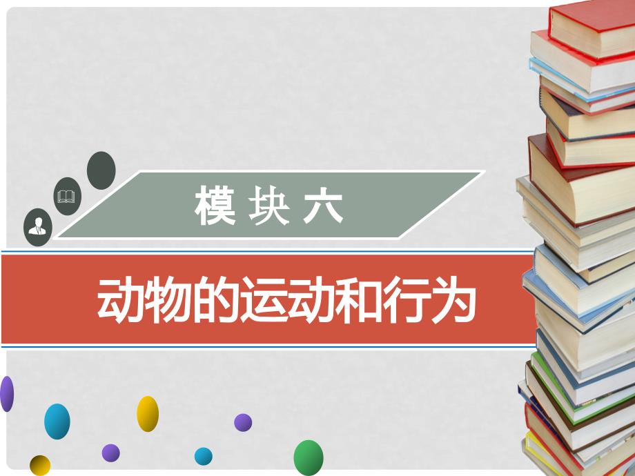 广东省中考生物 模块六 动物的运动和行为 第一课时 动物的运动课件_第1页