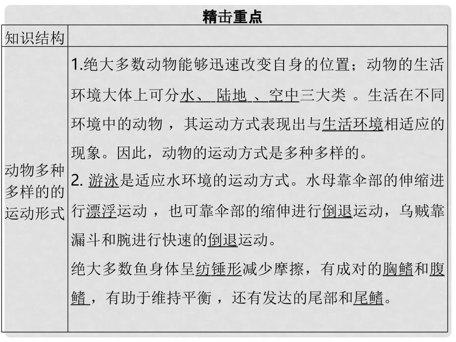 广东省中考生物 模块六 动物的运动和行为 第一课时 动物的运动课件_第5页