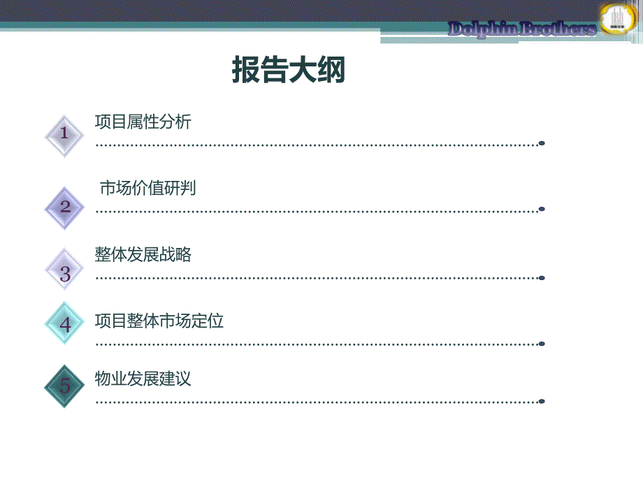 2月海南定安县天长颐生园调研报告102P_第2页