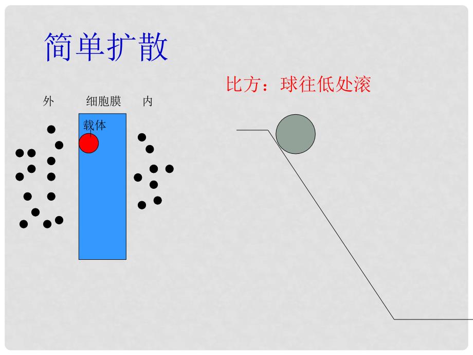 高中生物：第三章 第3节 物质的跨膜运输课件苏教版必修1_第4页