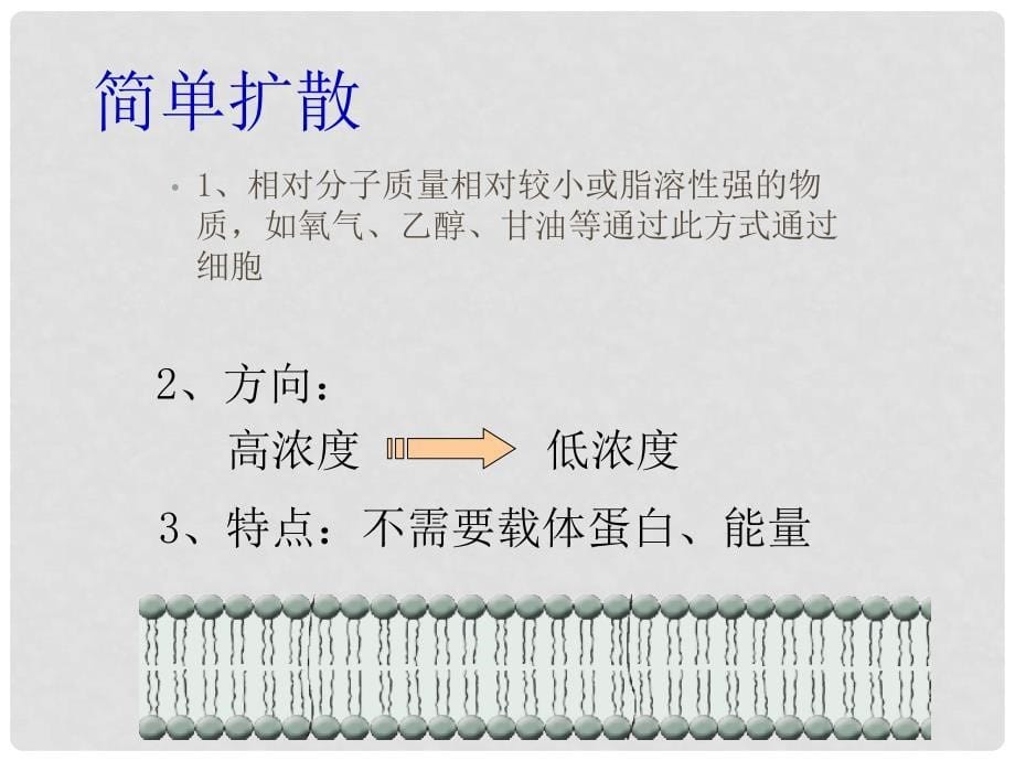 高中生物：第三章 第3节 物质的跨膜运输课件苏教版必修1_第5页