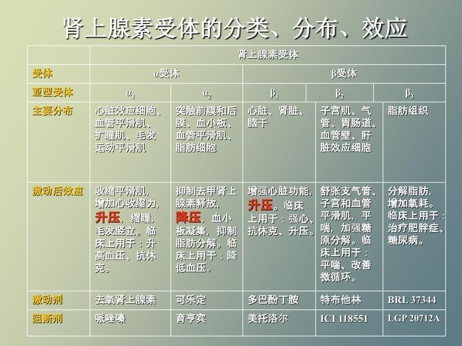 抗高血压药物和利尿药_第5页