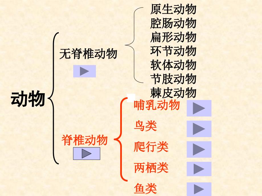 动物的主要类群 (2)_第3页