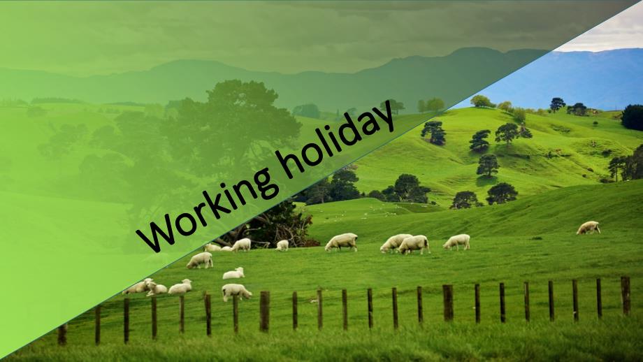 打工假期(working holiday).ppt_第1页