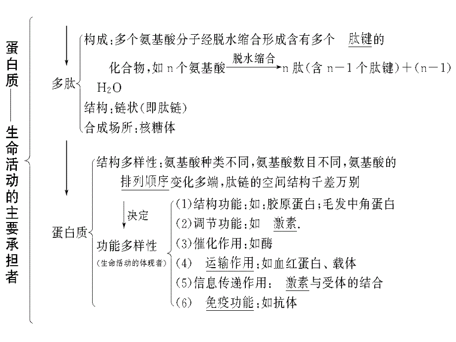 2011届高考生物第一轮基础自主梳理复习.ppt_第2页