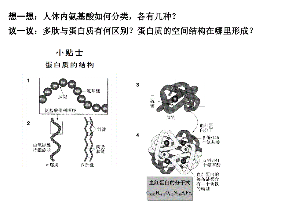 2011届高考生物第一轮基础自主梳理复习.ppt_第3页