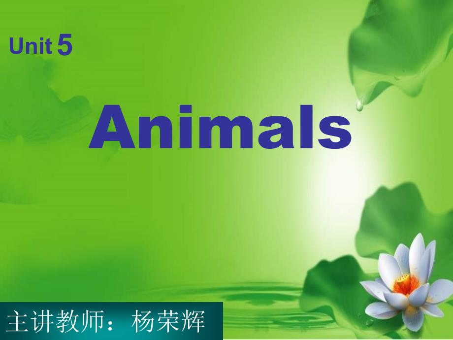 新蕾快乐英语一上Unit5Animals课件之一_第1页