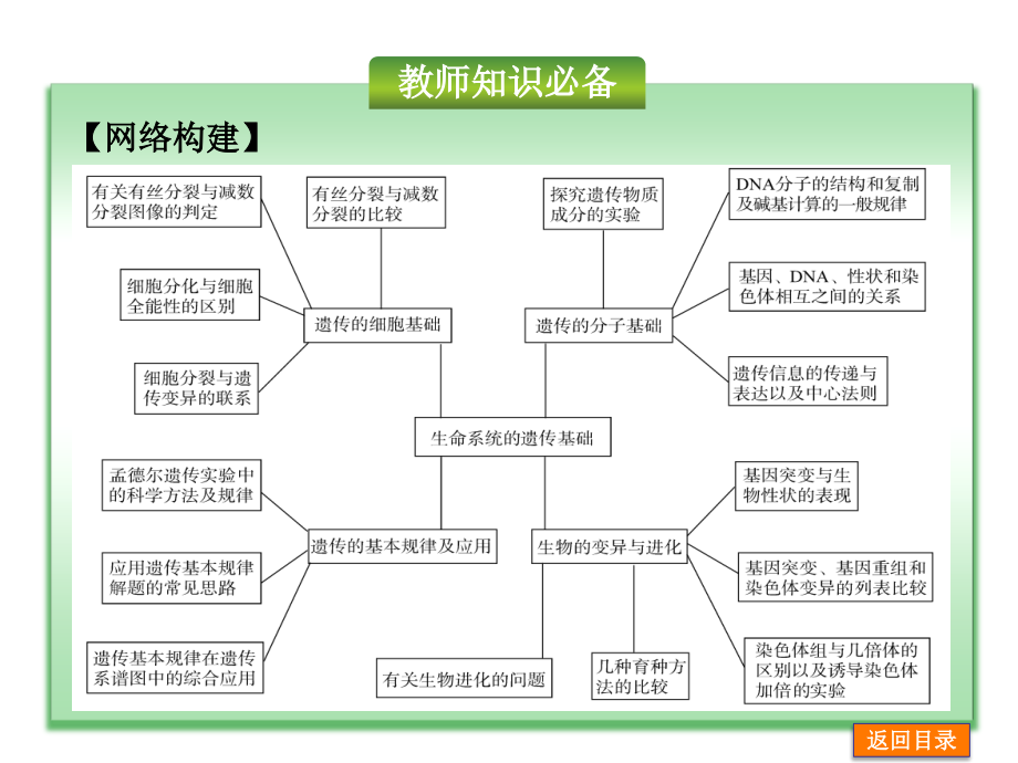 高考生物二轮复习精讲课件：第3单元+生命系统的遗传基础（共323张PPT）_第3页