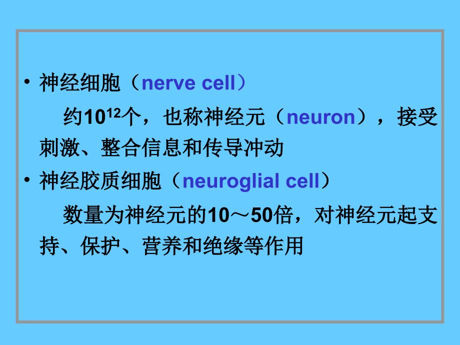 脑神经系统神经组织_第3页