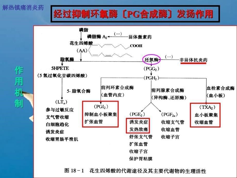 解热镇痛药临床ppt课件_第5页