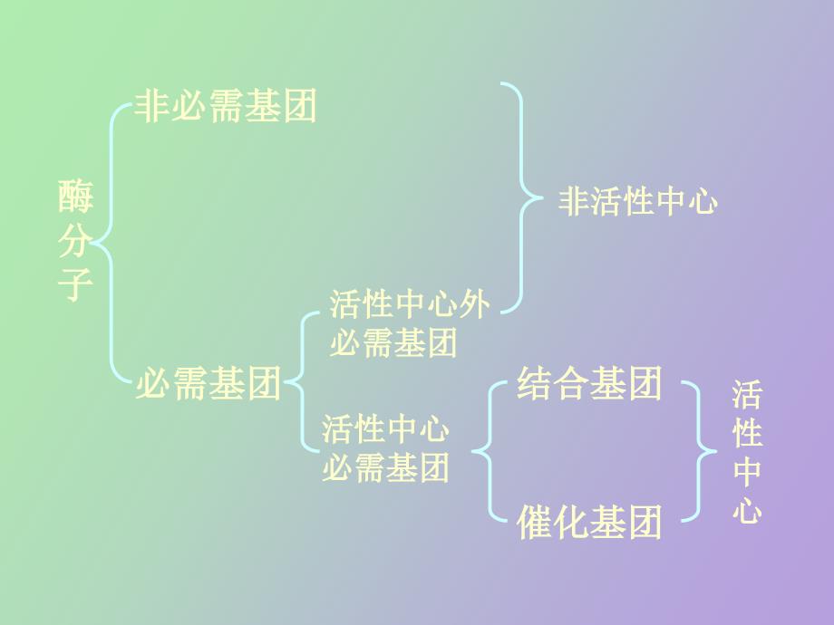 酶分子化学修饰_第3页