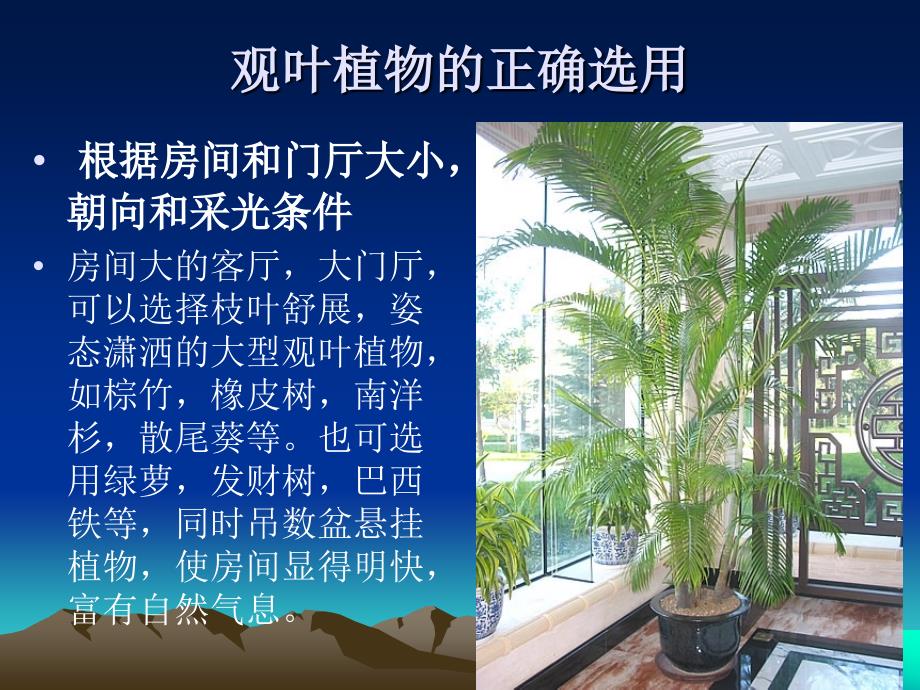 第八章室内观叶植物_第4页