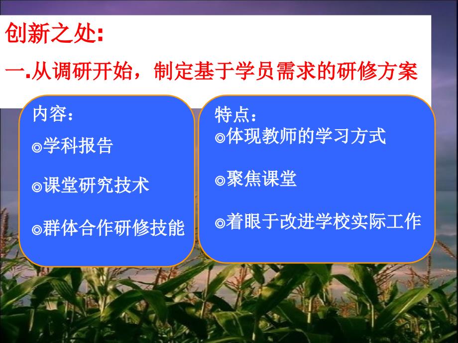 走进课堂做研究一个实践型学习共同体的成长_第4页