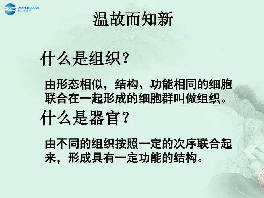 七年级生物上册 2.2.3 植物体的结构层次课件 新版新人教版_第3页