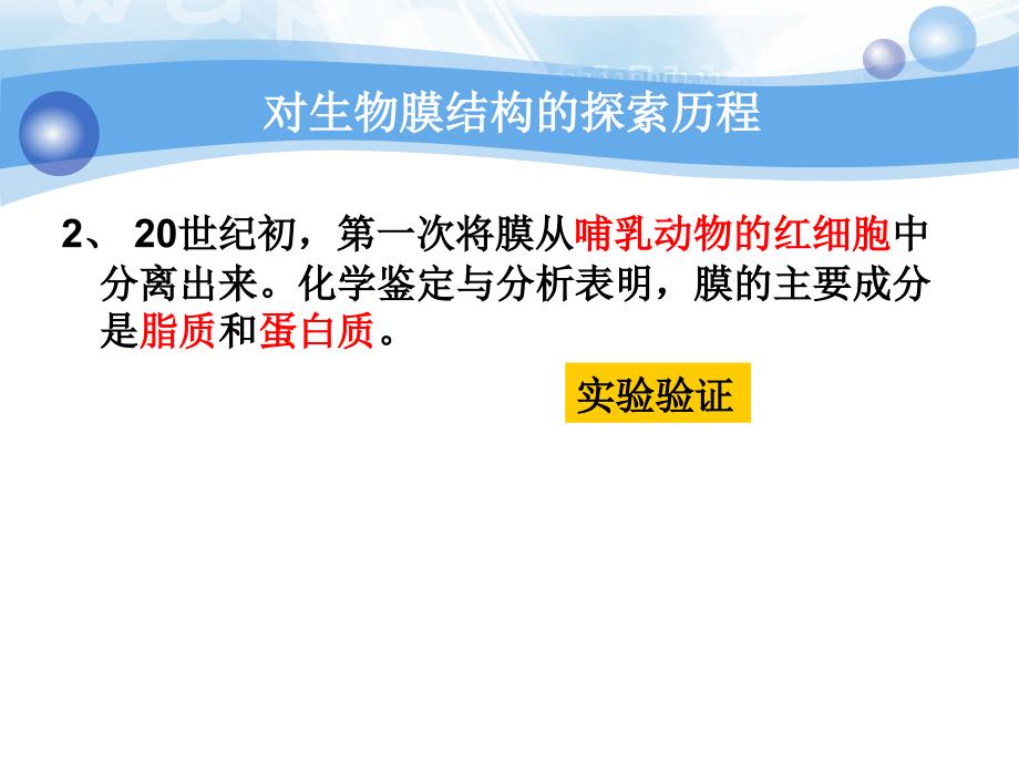 42细胞膜的流动镶嵌模型_第4页