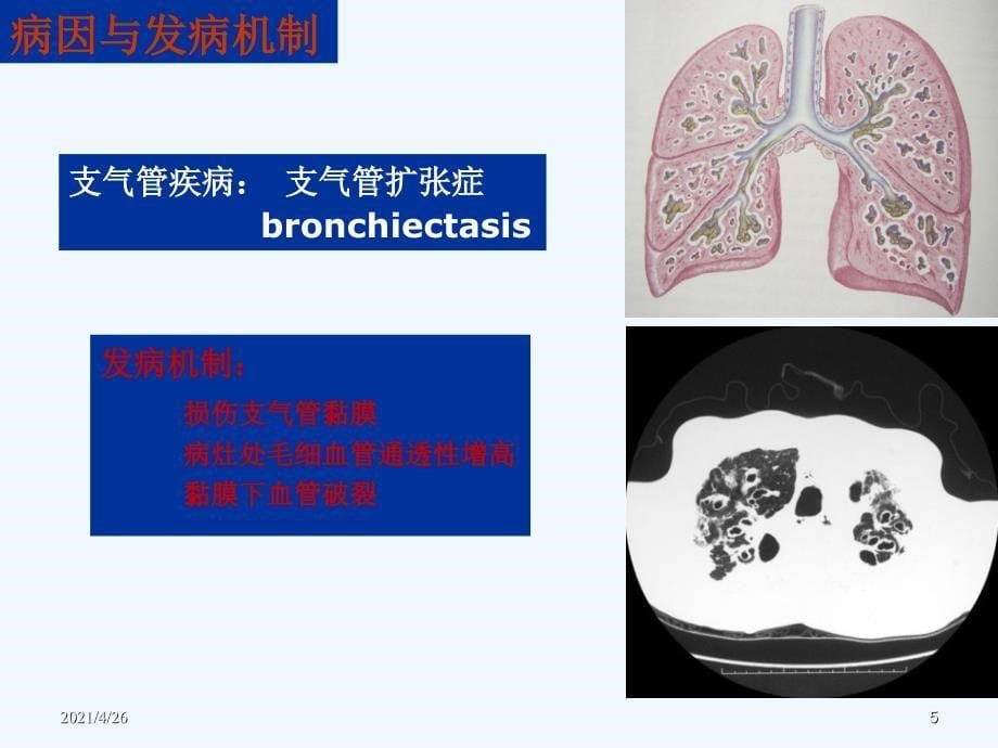 精神检查_第5页