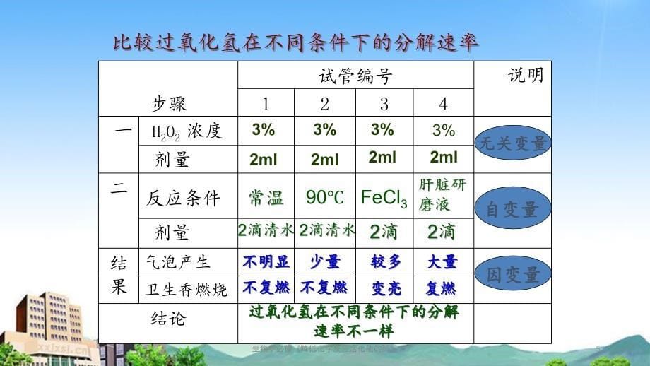 生物学必修降低化学反应活化能的酶_第5页