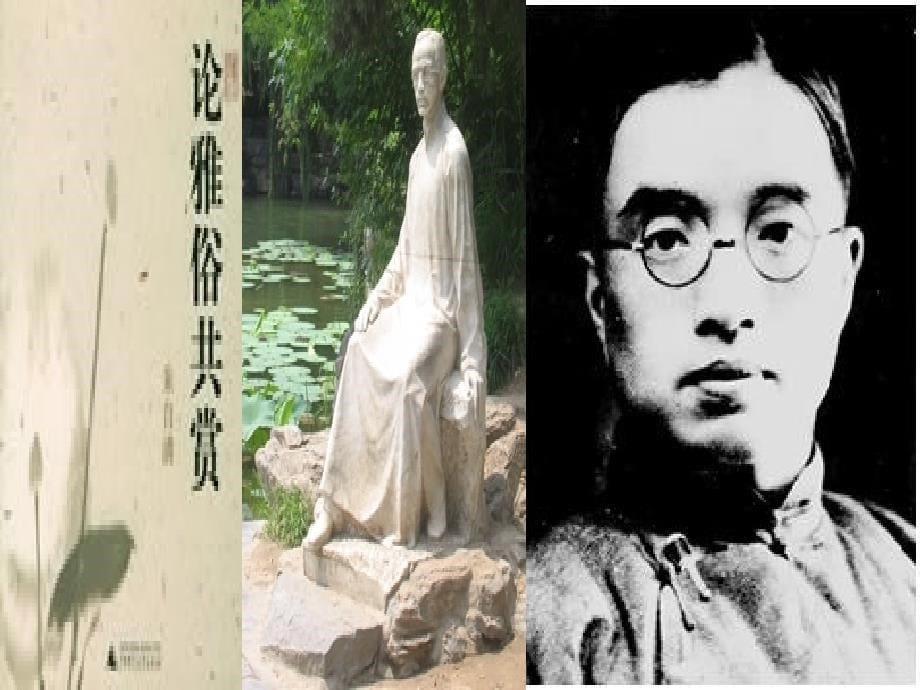 河南省华夏外国语高级中学高三语文《论雅俗共赏》课件（语文版必修五）_第5页