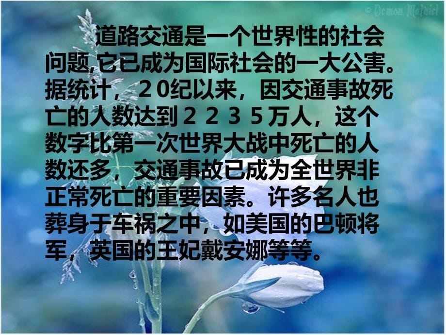 安全在我心中主题班会2_第5页