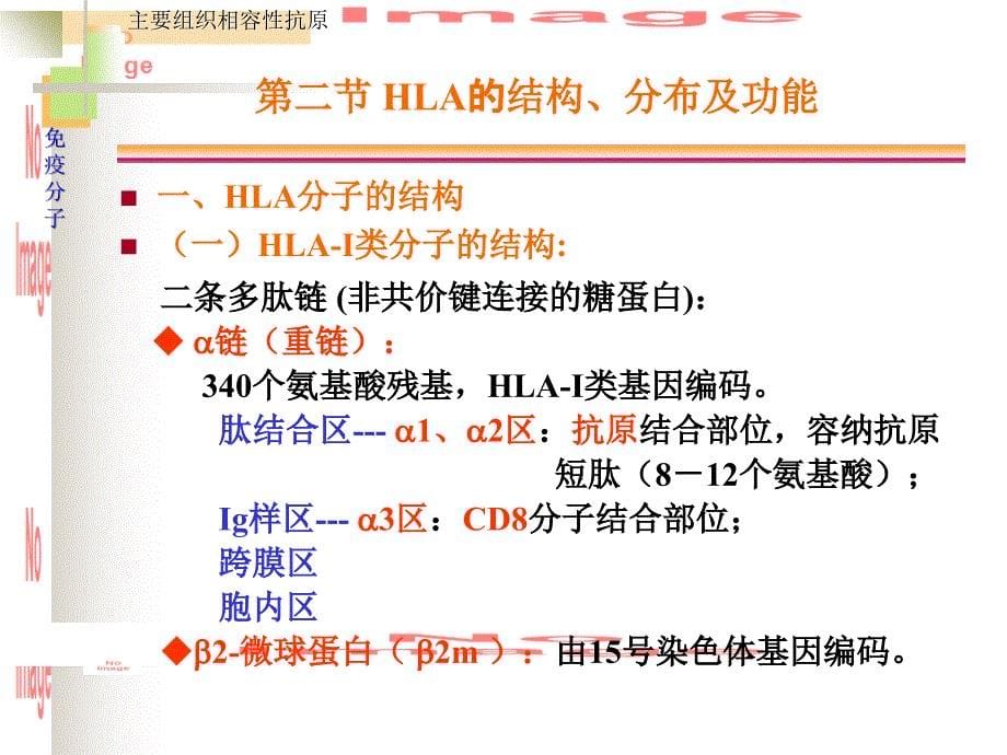 微生物学与免疫学课件5MH_第5页