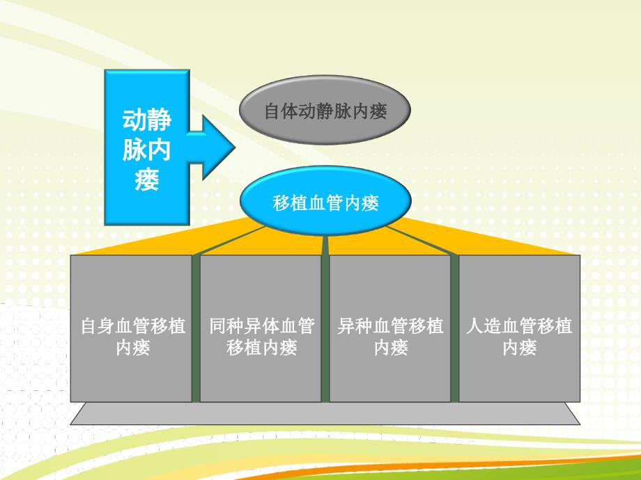 动静脉内瘘09465_第3页