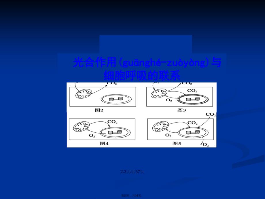 光合作用与细胞呼吸的关系学习教案_第4页