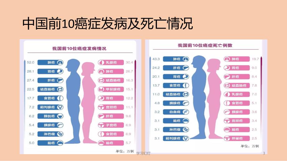 肿瘤流行病学数据特制荟萃_第3页