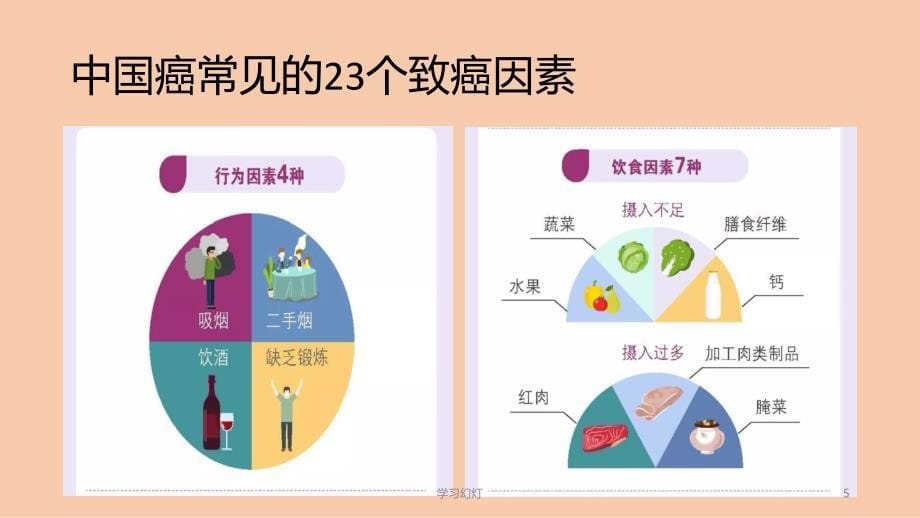 肿瘤流行病学数据特制荟萃_第5页