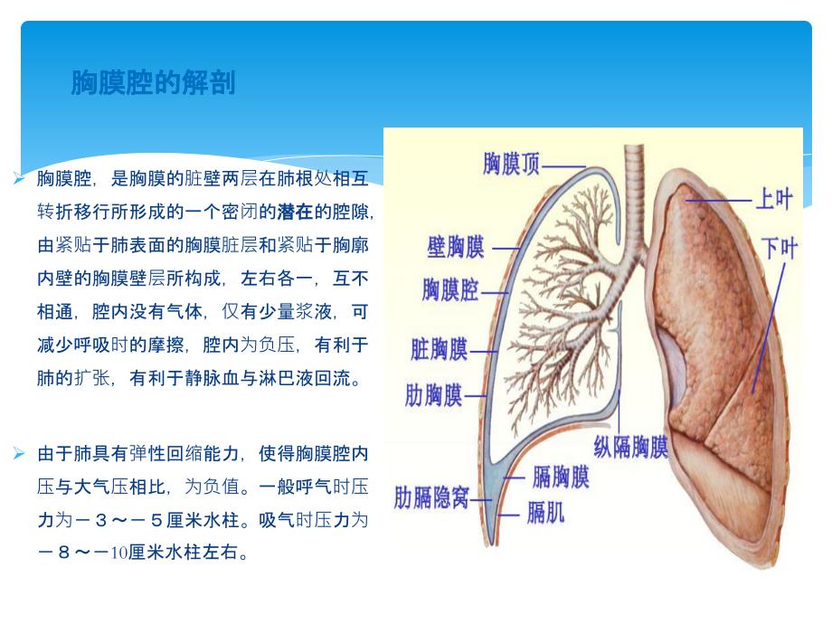 胸腔穿刺术实用讲解_第3页