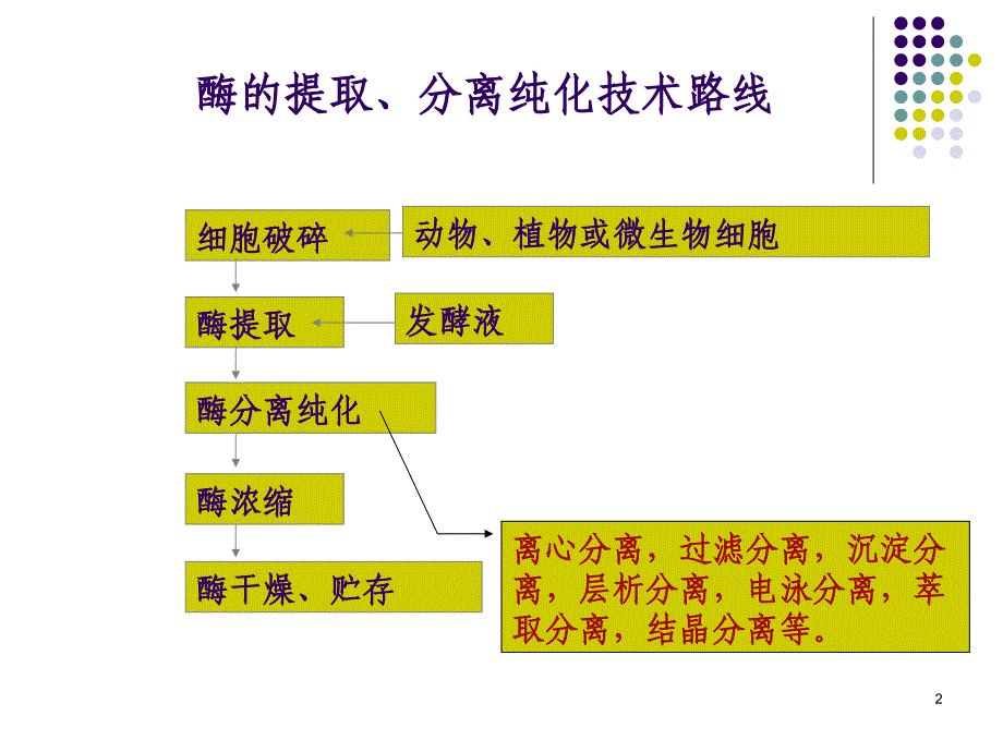 第六章酶的分离纯化3_第2页