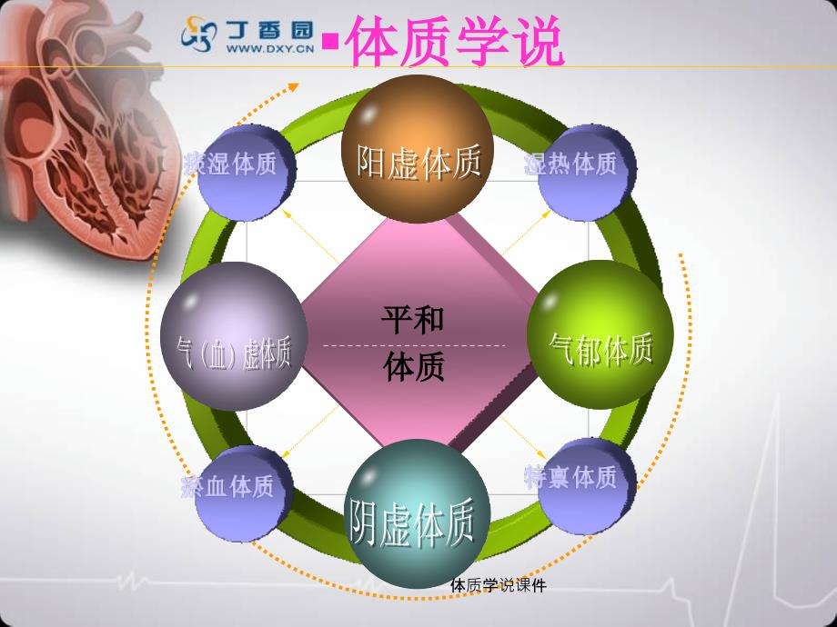 体质学说课件_第2页