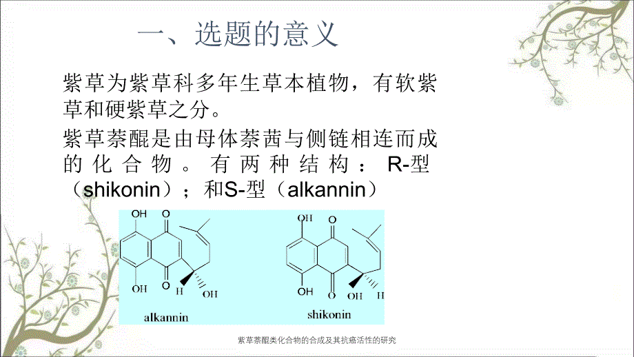 紫草萘醌类化合物的合成及其抗癌活性的研究_第2页