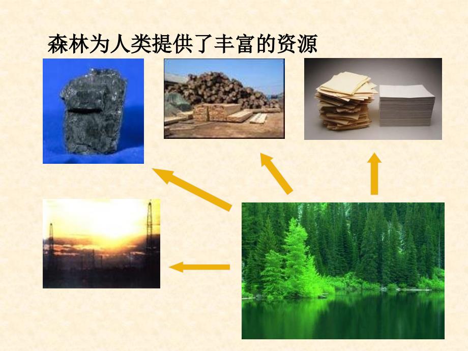 苏教版生物七年级上册3.7.3绿化我们共同的行动课件3_第4页